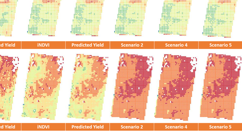 An empirical model for prediction of wheat yield, using time-integrated Landsat NDVI